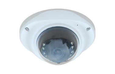 Outdoor AHD Dome Camera Internal Synchronization , Hidden CCTV Cameras 3.0MP Lens